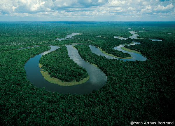 Der Amazonas ist der größte äquatoriale Regenwald der Welt. Er erstreckt sich über das hydrografische Becken des Amazonas, einer riesigen tropischen Region mit einer Fläche von ca. 6,74 Millionen km2, die sich über acht Länder erstrecken.