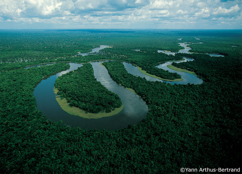 Der Amazonas ist der größte äquatoriale Regenwald der Welt. Er erstreckt sich über das hydrografische Becken des Amazonas, einer riesigen tropischen Region mit einer Fläche von ca. 6,74 Millionen km2, die sich über acht Länder erstrecken.