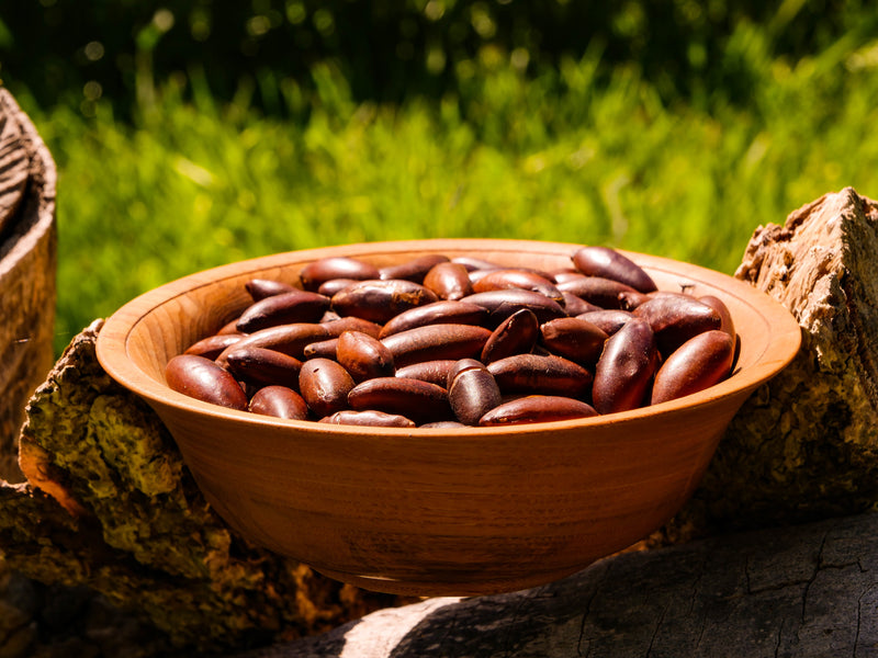 Barunuss, Barunüsse, Baru Nuss, Baru, Noix de Baru, Barunuts, Bio, Vegan, Veganer, Glutenfrei, wildlese, Nährwerte, Proteine, Omega 6, Omega 9, Mineralien, Vitamine, geröstet, Superfood, gute fette, Aminosäuren, Antioxidantien, nachhaltig